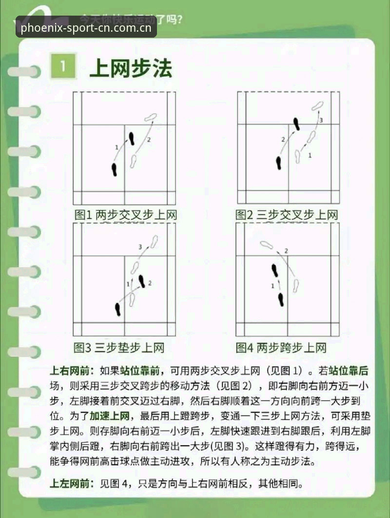 凤凰体育官方在线入口网址体育资讯最新版使用教程：从安装到避坑的全流程指南